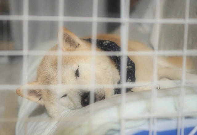 26日ブログ8