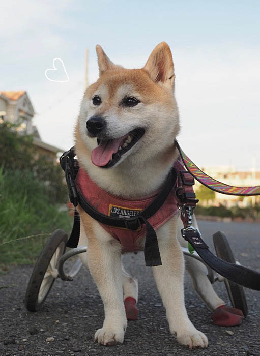 15日ブログ４