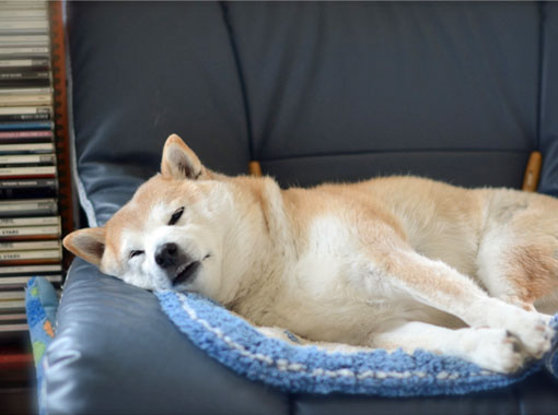 2日ブログ8.jpg