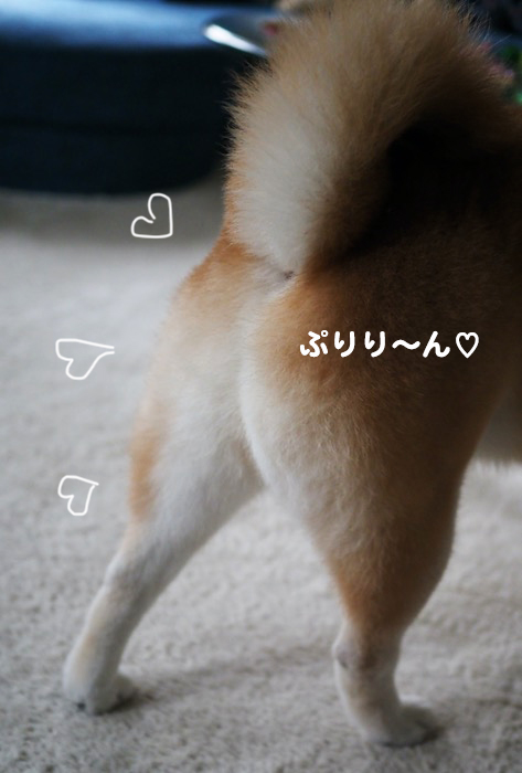 13日夕ブログ５