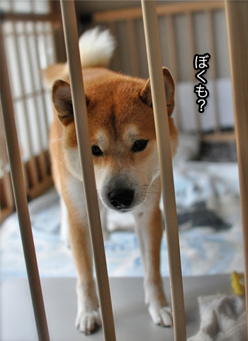 30日ブログ9.jpg