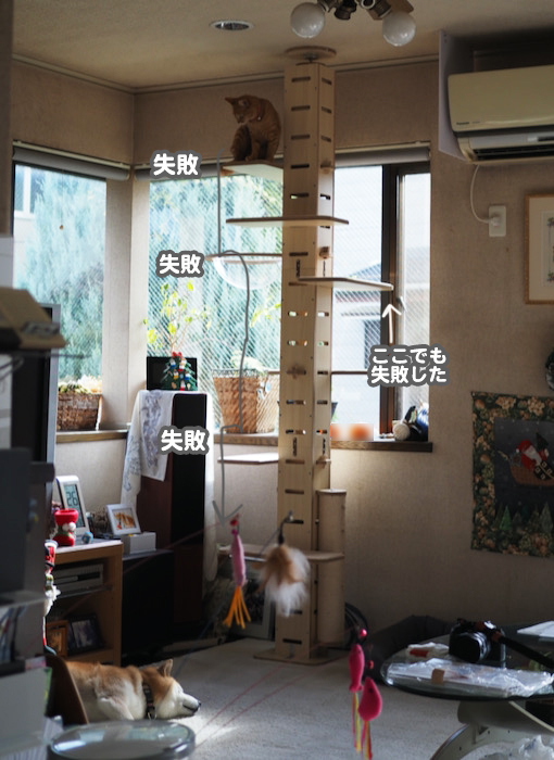 1日夕ブログ６