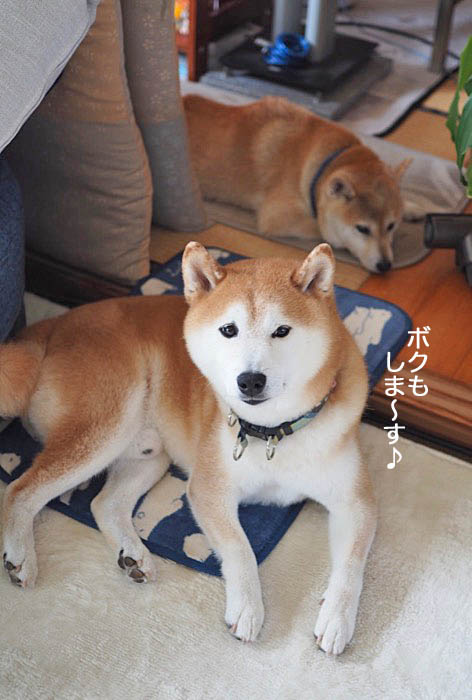 11日ブログ８