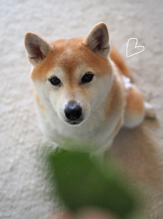 1日夜ブログ４