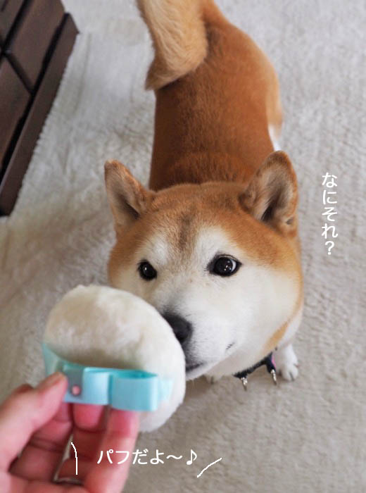30日ブログ６