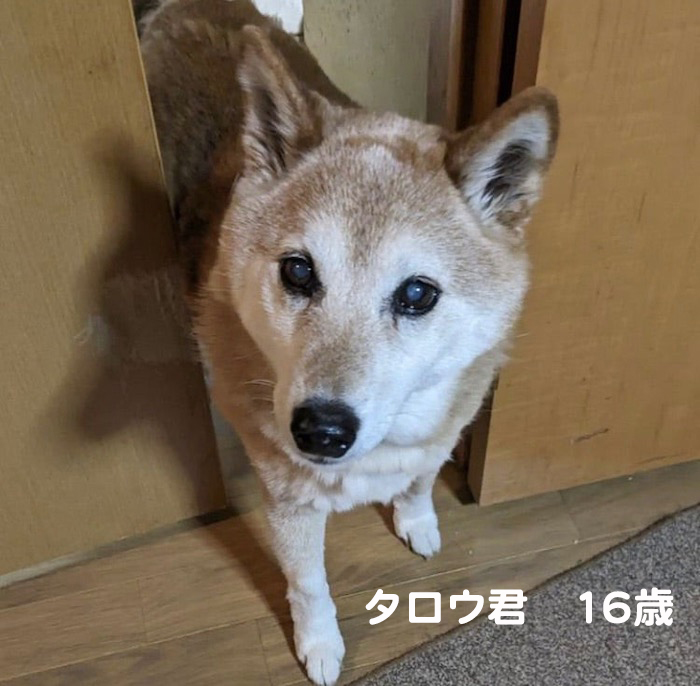 20日ブログ３
