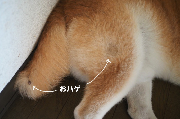 19日ブログ４