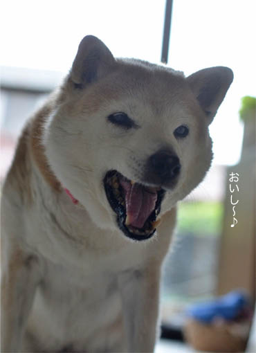30日ブログ7.jpg