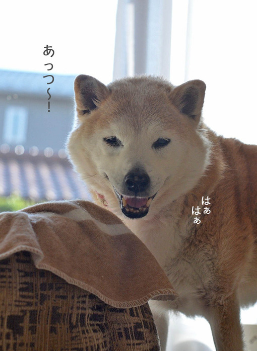 30日ブログ3