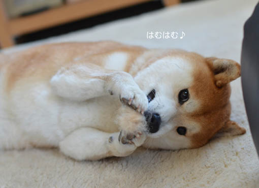 23日ブログ6.jpg