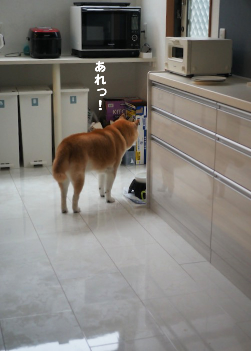 20日ブログ４