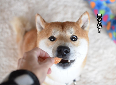 12日ブログ6.jpg
