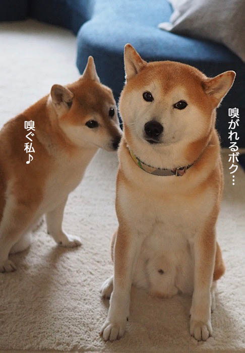 5日ブログ２