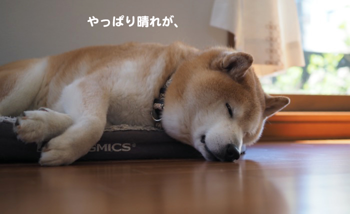 10日ブログ２