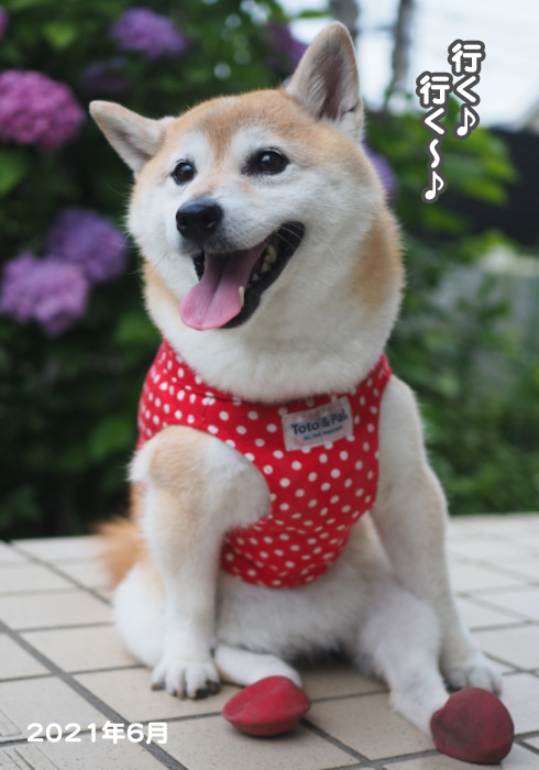 1日夕ブログ１６