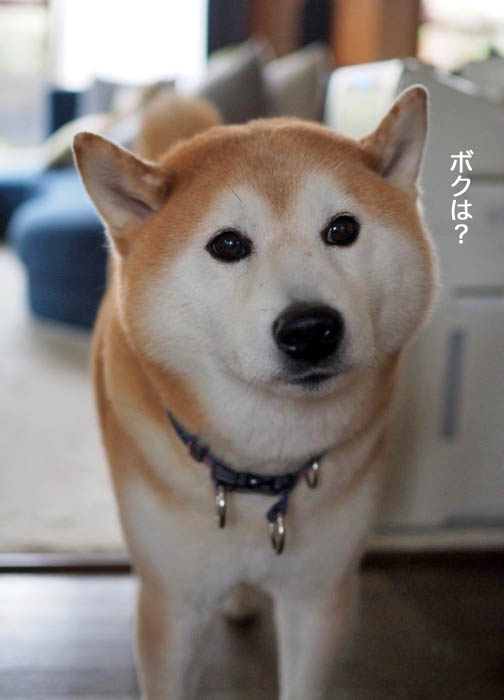 6日ブログ４