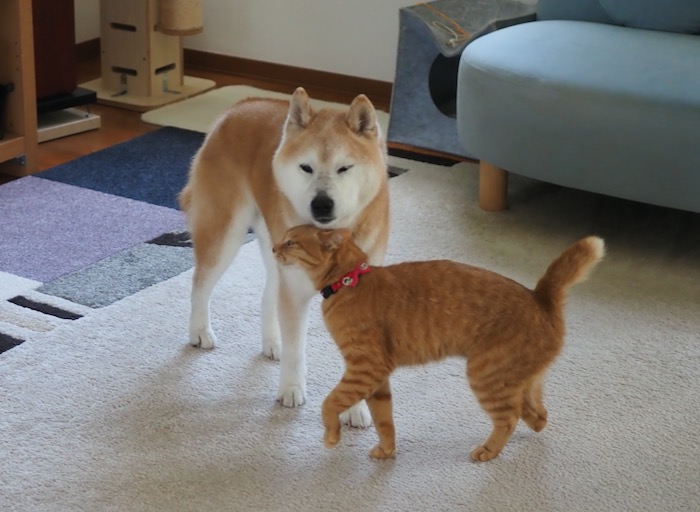 10日ブログ４