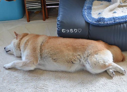 23日ブログ11.jpg