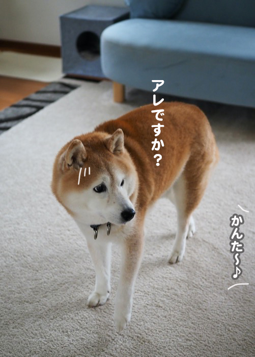 13日夕ブログ３