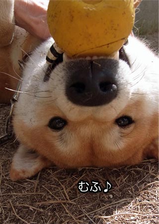 26日ブログ18.jpg
