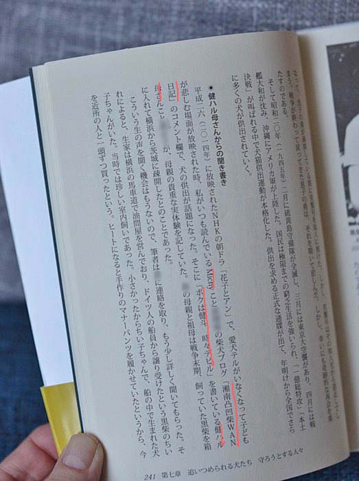 9日ブログ10