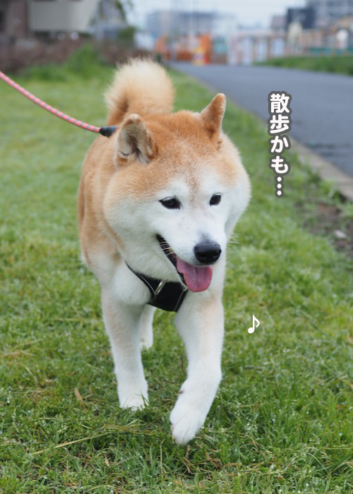 23日夕ブログ３