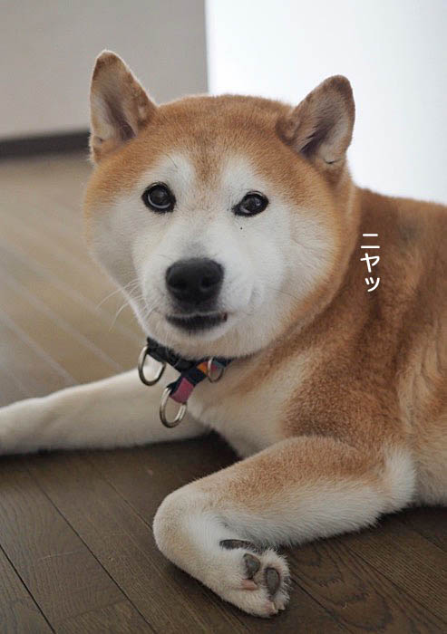 7日夜ブログ８