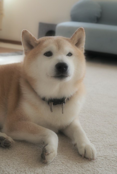 18日午前ブログ３