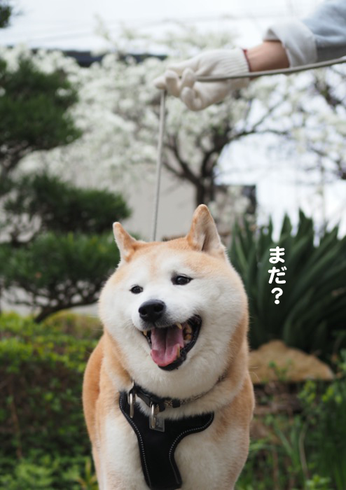 11日ブログ３