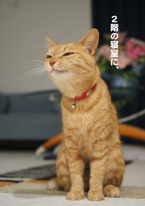 13日夕ブログ６