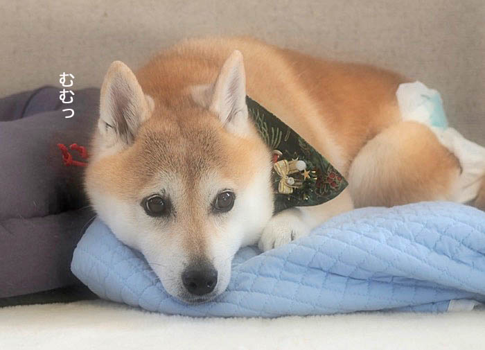 3日夕ブログ７
