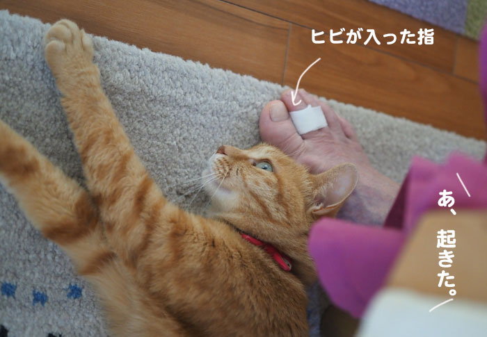 6日夕ブログ３