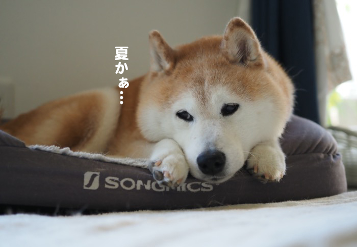22日夕ブログ３