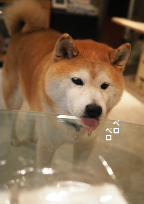 5日夕ブログ８