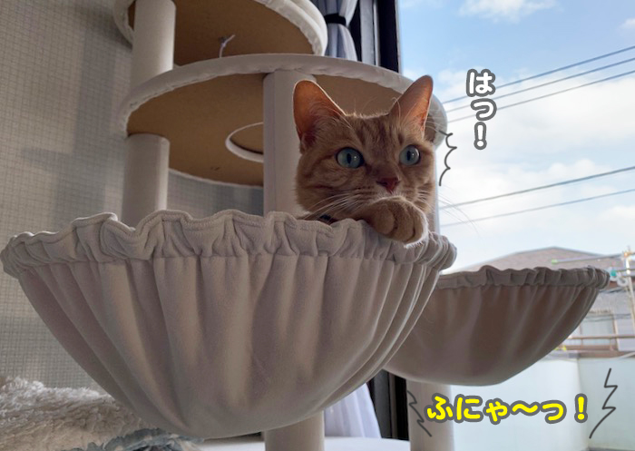 28日夜ブログ8