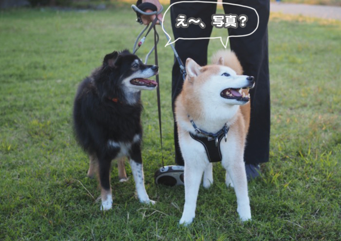 18日夕ブログ２