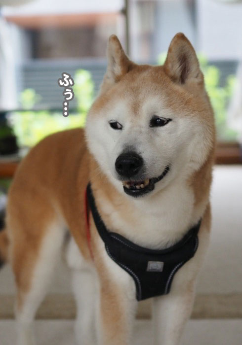 18日夕ブログ３