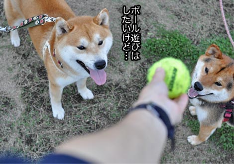 7日ブログ３.jpg