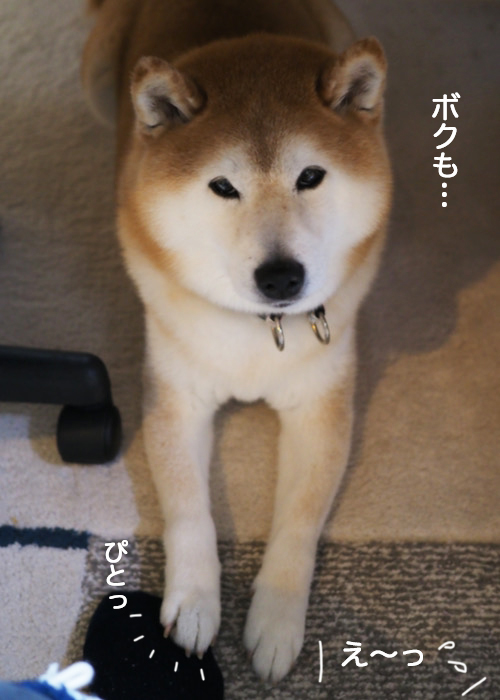 22日ブログ３