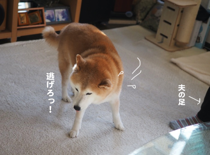 7日ブログ５