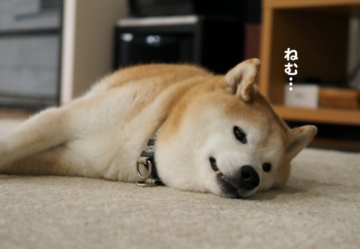 10日夕方のブログ６