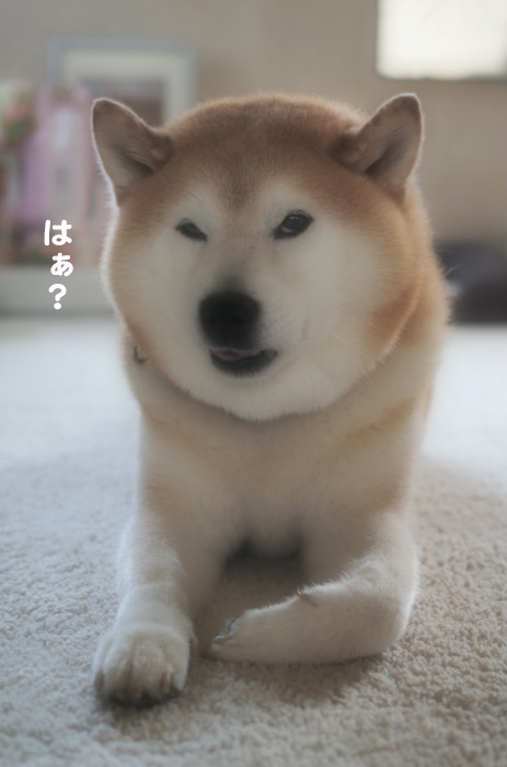 12日ブログ３