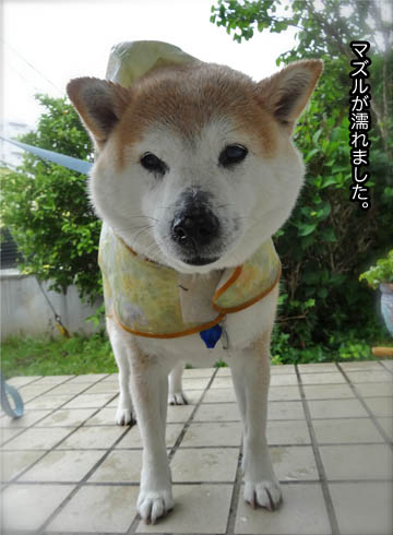 21日ブログ3.jpg