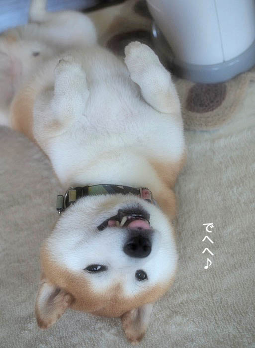 7日夜ブログ２