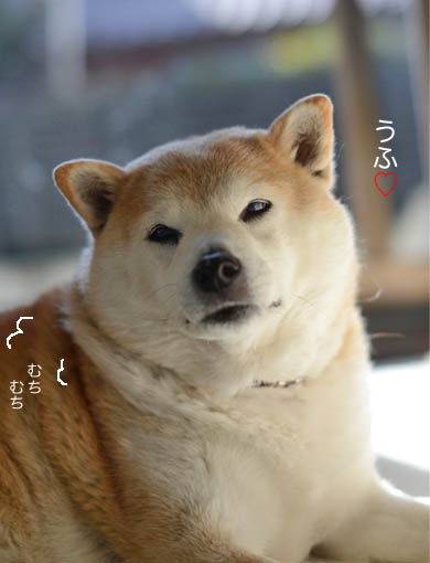 20日ブログ4.jpg