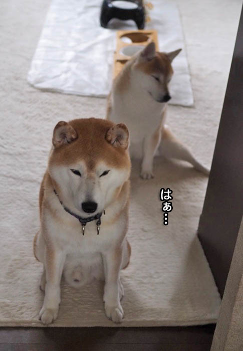 23日夜ブログ２