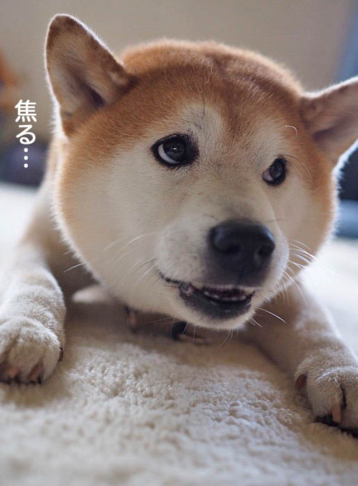 8日午後ブログ１１