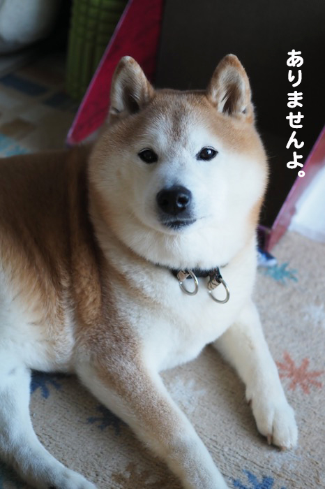 25日ブログ２