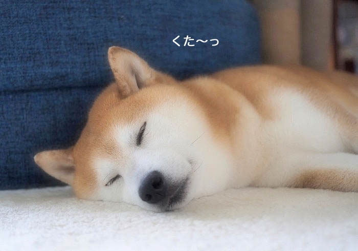 6日ブログ11
