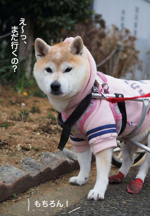 6日ブログ２